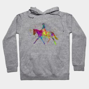 Watercolor horse show Hoodie